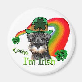 Imã Rua. Patricks Day Mini Schnauzer