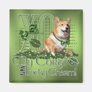 Imã Rua Patricks - mim encanto afortunado - Corgi -
