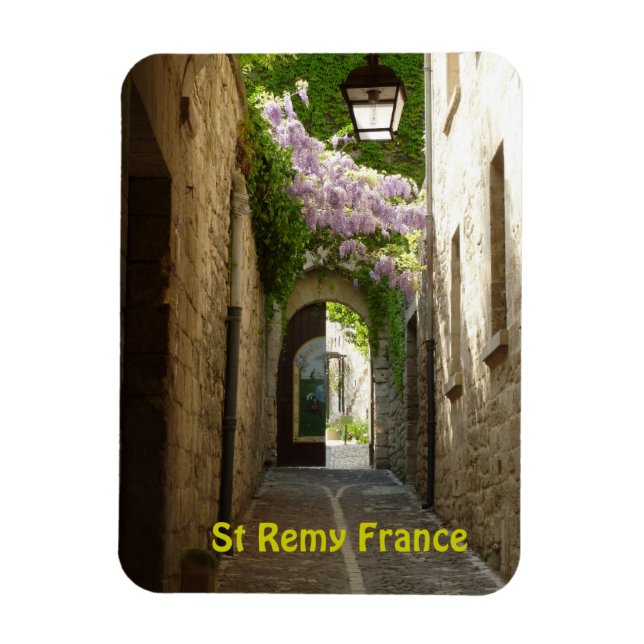Ímã Rua Remy France Magnet (Vertical)