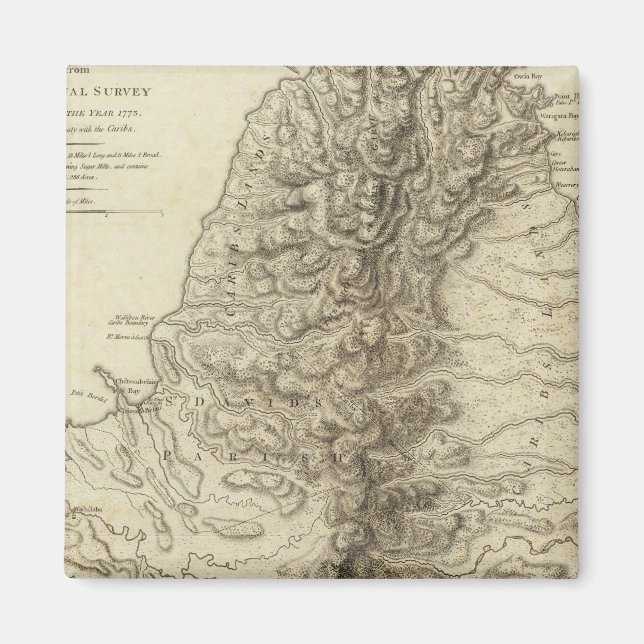 Imã Rua Vincent (Frente)