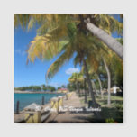 Imã Ruas. Croix Ilhas Virgens dos EUA Frederiksted Tro<br><div class="desc">Ruas. Croix US Virgin Islands Frederiksted Tropical Magnet tem uma bela fotografia do Cais Frederiksted em Ruas. Croix US Virgin Islands com as belas palmeiras e bonito águas azuis. Aproveite a fotografia do fotógrafo Denise Bennerson</div>