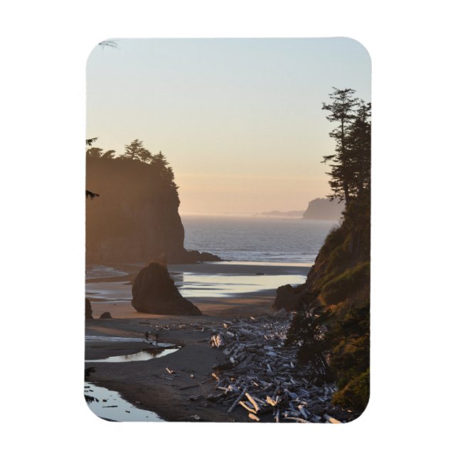 Ímã Ruby Beach no Oceano Pacífico (Vertical)