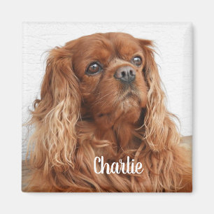 Imã Ruby Cavalier King Charles Spaniel Dog Magnet
