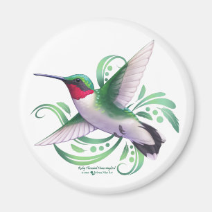 Imã Ruby Throated Hummingbird