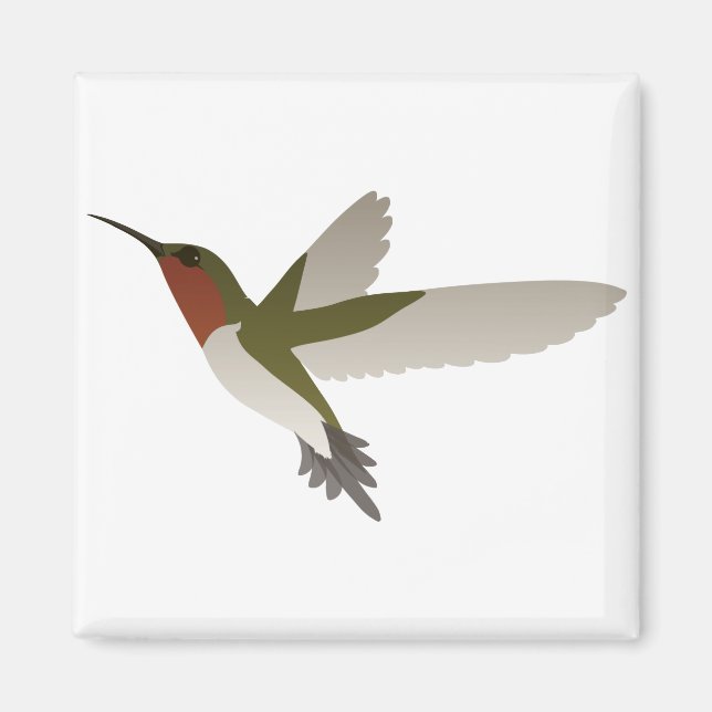 Imã Ruby Throated Hummingbird (Frente)