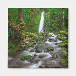 Imã Ruckel Creek Falls, Desfiladeiro do Rio Columbia O