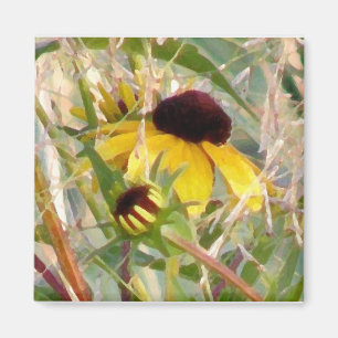 Imã Rudbeckia e Co