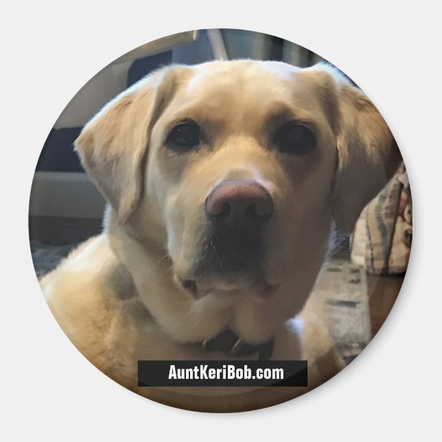 Imã Ruger agosto de 2020 (Frente)