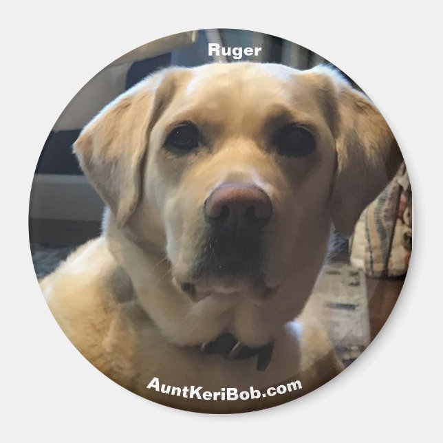 Imã Ruger Magnet (Frente)