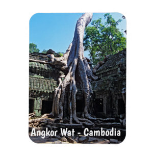 Ímã Ruin de Ta Prohm - Angkor Wat, Camboja, Ásia
