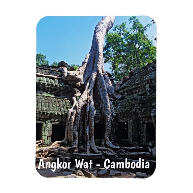 Ímã Ruína de Ta Prohm - Angkor Wat, Camboja, Ásia (Vertical)