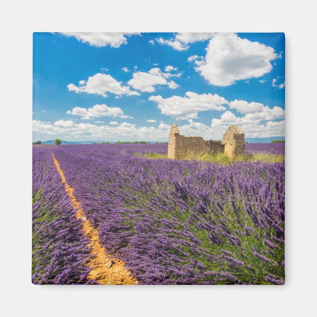 Imã Ruína em Campo de Lavanda, França (Frente)