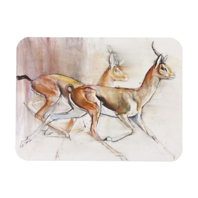 Ímã Running Arabian Gazelles 2010 (Horizontal)
