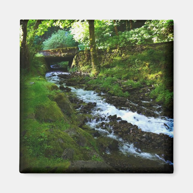 Imã Runoff de Wahkeena Falls, Oregon (Frente)