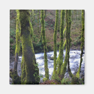 Imã Runoff from Bridal Veil Falls, Oregon