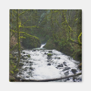 Imã Runoff from Bridal Veil Falls, Oregon
