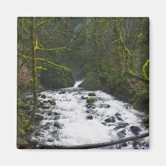 Imã Runoff from Bridal Veil Falls, Oregon (Frente)