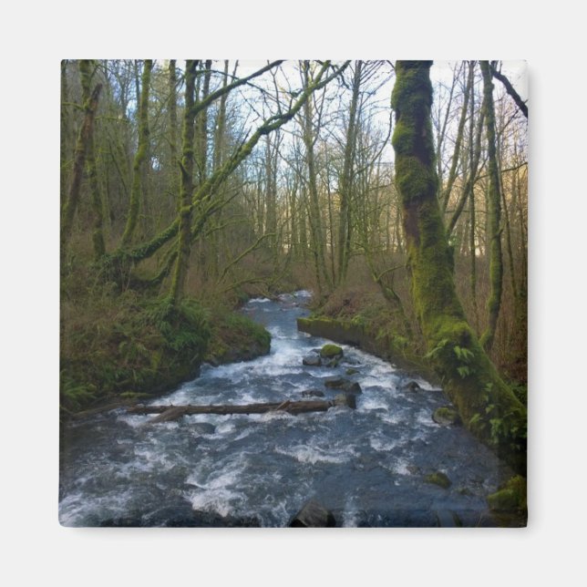 Imã Runoff from Bridal Veil Falls, Oregon (Frente)