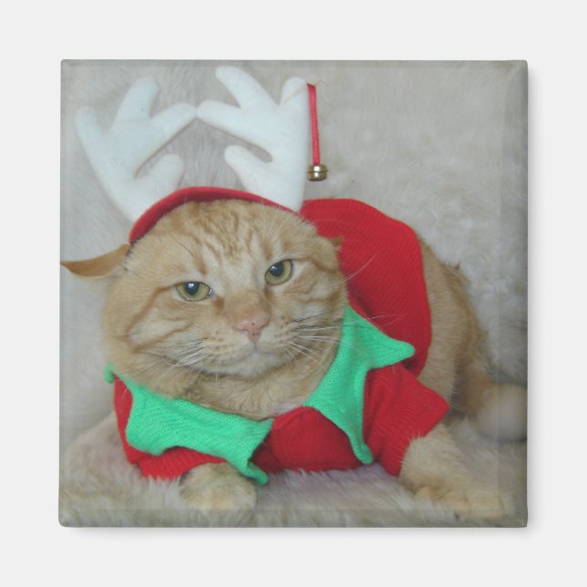 Imã Rusty the Reindeer Elf (Frente)