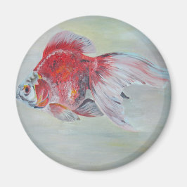 Imã Ryukin Goldfish — Pintura em acrílico