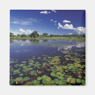 Imã S.A., Brasil, Vias navegáveis no Pantanal