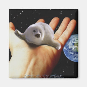 IMÃ S.O.S. SALVAR NOSSOS SELOS DE HARPA