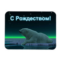 S Rozhdestvom - Urso Polar De Borda Gelo