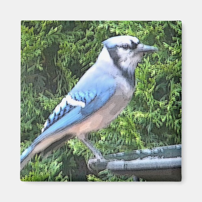 Imã SA- Magneta azul (Frente)