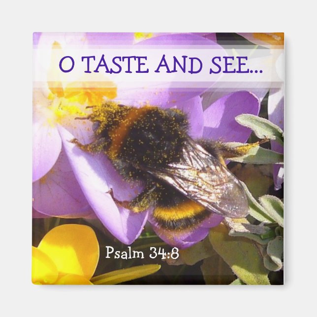 Imã SABE! ~ Magnet (Frente)