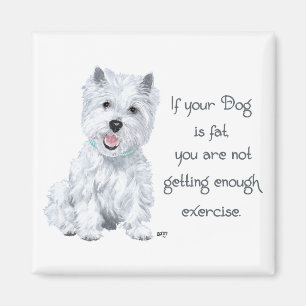 Imã Sabedoria Westie - Cachorro Gordo?