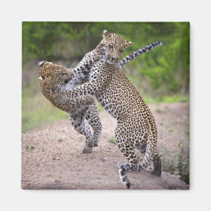 Imã Sabi lixa a tutela, província de Mpumalanga,