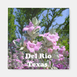 Imã sábio roxo das lembranças de rio texas do del