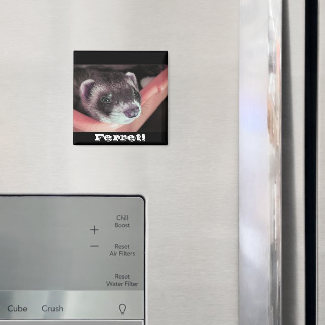 Imã Sable Ferret Magnet (In Situ (Fridge))