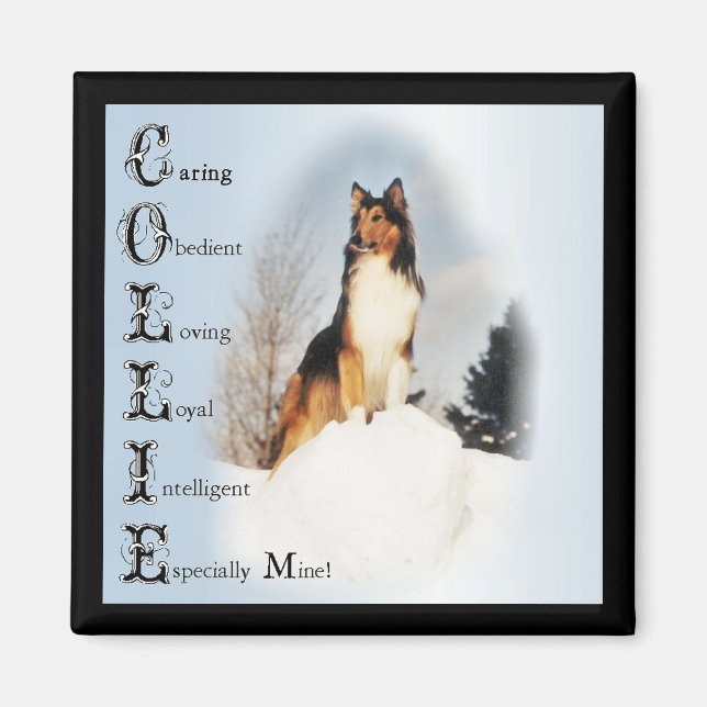 Imã Sable Rough Collie Gifts (Frente)