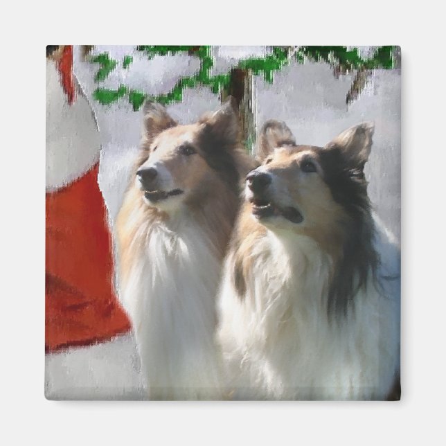 Imã Sable Rough Collie presentes de Natal (Frente)