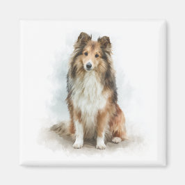 Imã Sable Shetland Sheepdog Watercolor Art