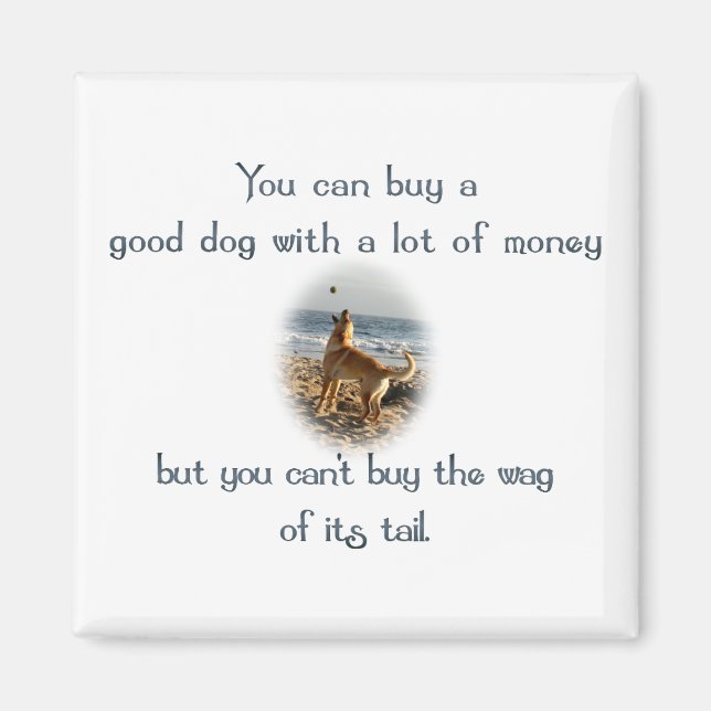 Imã Saco da Cauda (Frente)