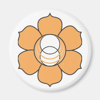 Imã Sacral Chakra Magnet