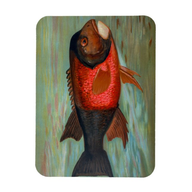 Ímã Sacramento Pike por John L Petrie (Vertical)