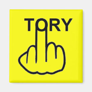 Imã Sacudir Tory do Magnet