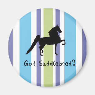 Imã Saddlebred obtido?