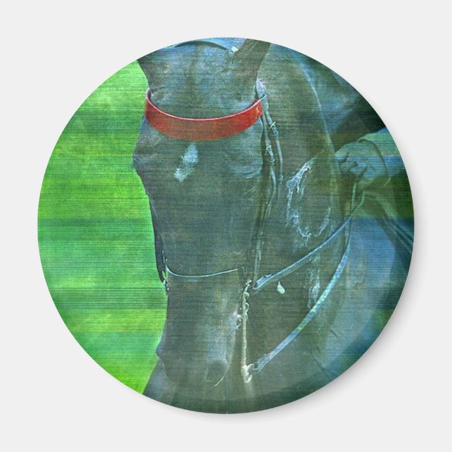 Imã Saddlecriado Americano (Frente)