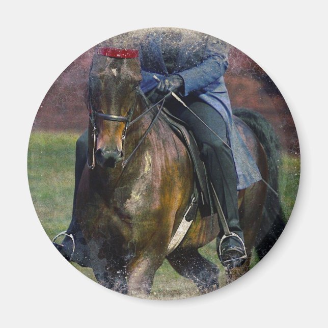 Imã Saddleseat (Frente)