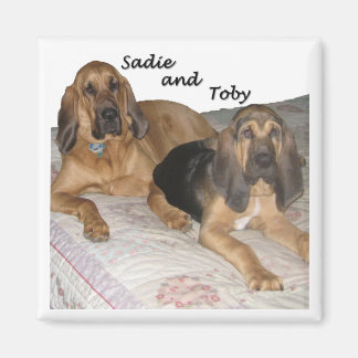Imã Sadie e Toby 1