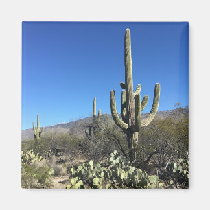 Imã Saguaro Cactus