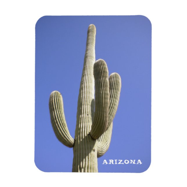 Ímã Saguaro Cactus - Arizona - Magnet (Vertical)