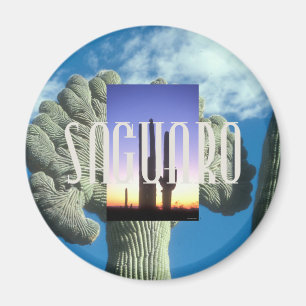 Imã Saguaro de ABH
