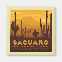 Saguaro Square National Park | Arizona