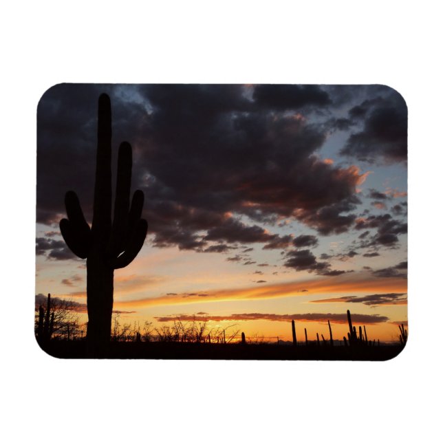 Ímã Saguaro Sunset III Arizona Desert Landscape (Horizontal)
