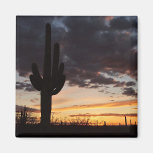 Imã Saguaro Sunset III Arizona Desert Landscape